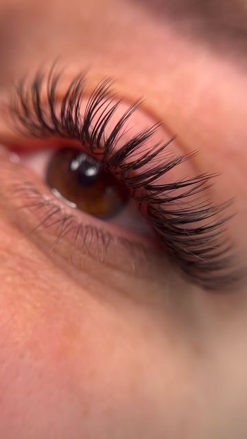Close-up of an eye with curled lash extensions